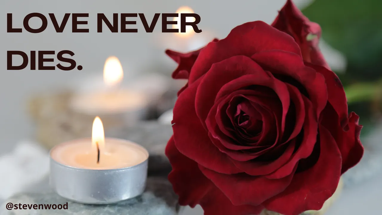 love_never_dies.