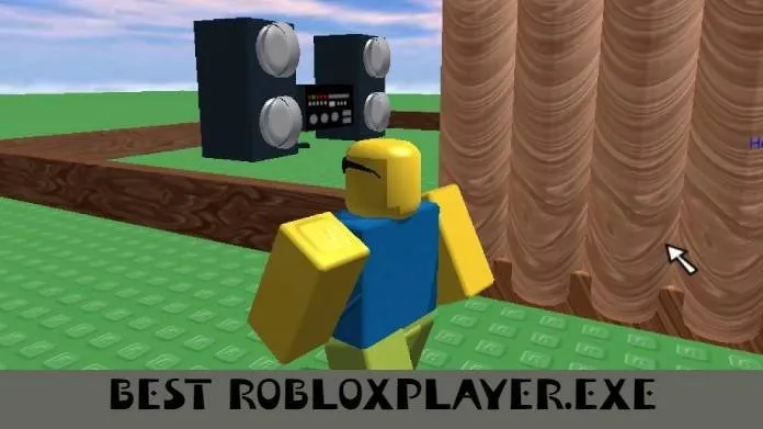 robloxplayer.exe.jpg