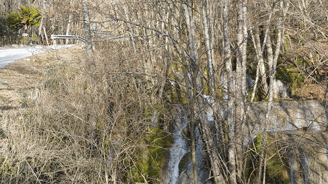 slappodstenjsek1.gif