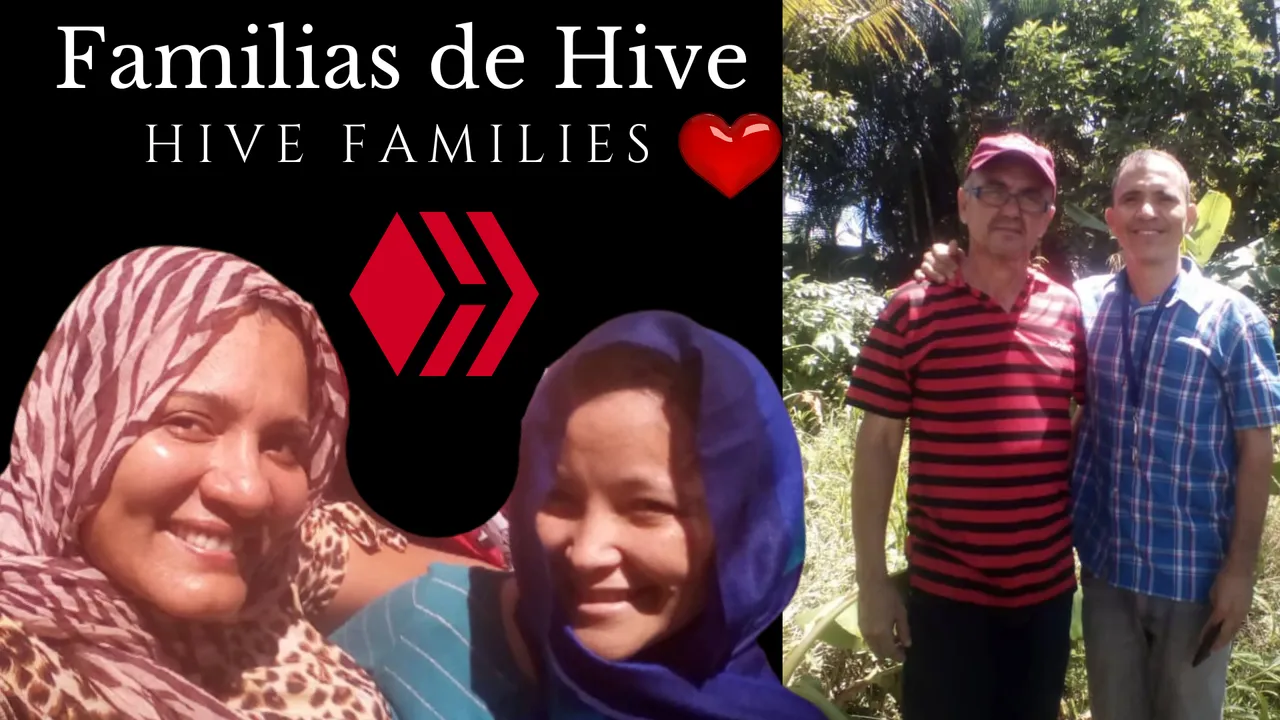 familias_de_hive.png