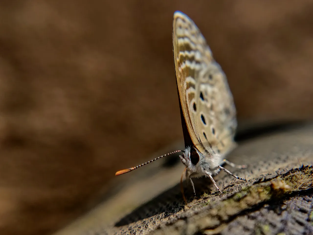 macroworkshop_24.jpg