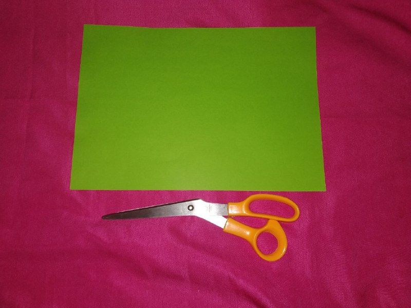 photo1636899226.jpeg