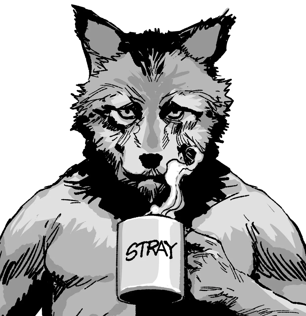 timlonewolf 2.jpg