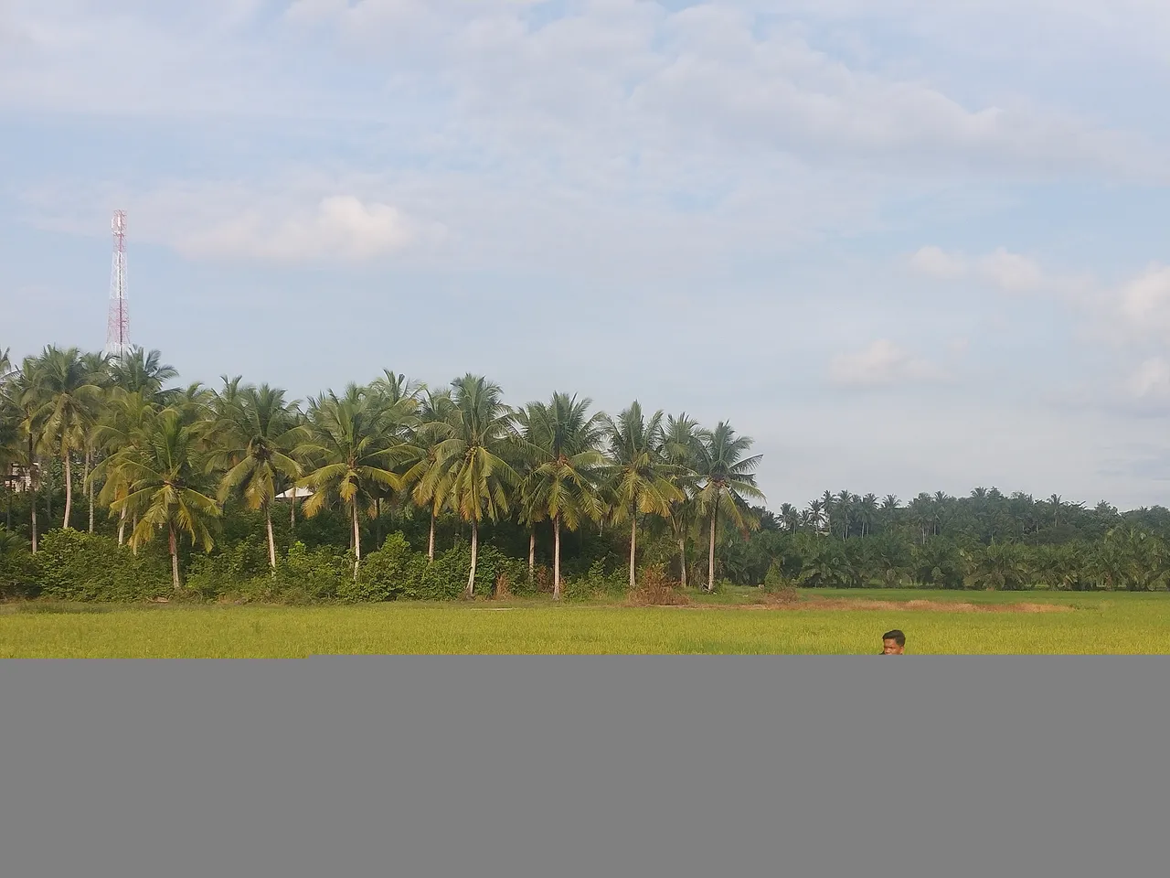 IMG20211019163600.jpg