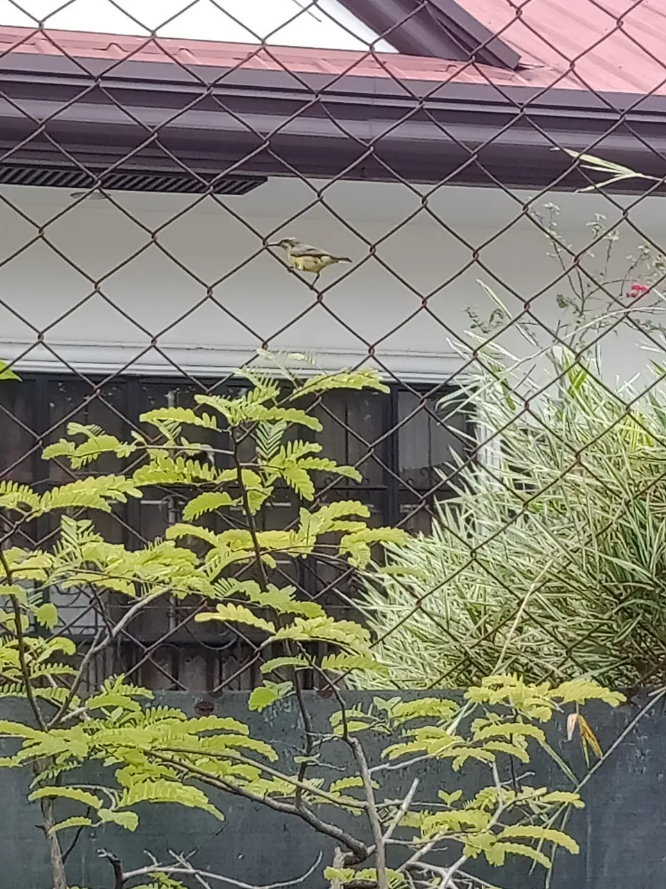 IMG20210224113910.jpg