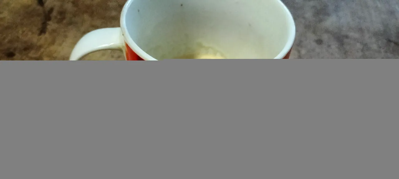 IMG20220112080815.jpg