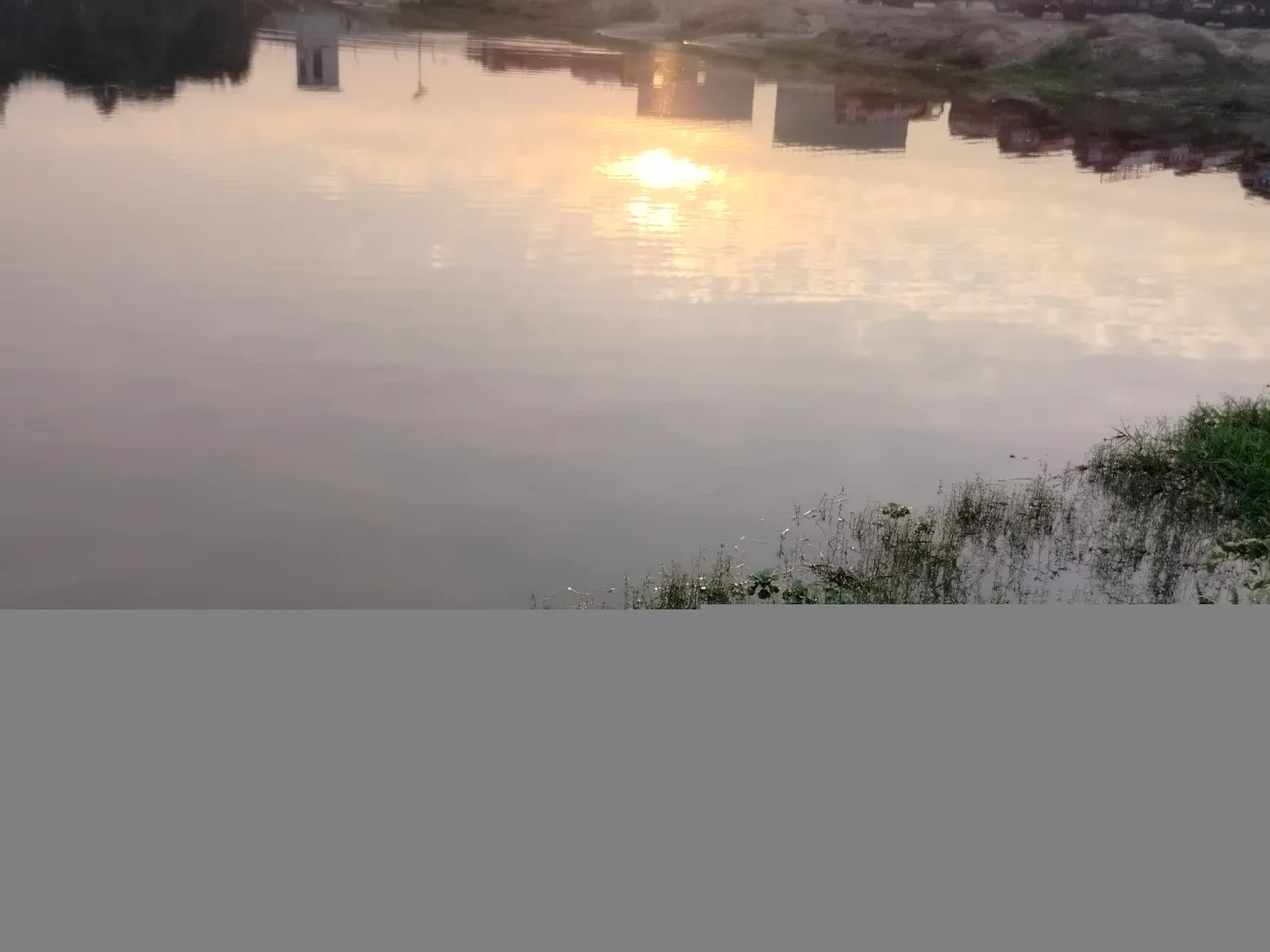 IMG20231202071513.jpg