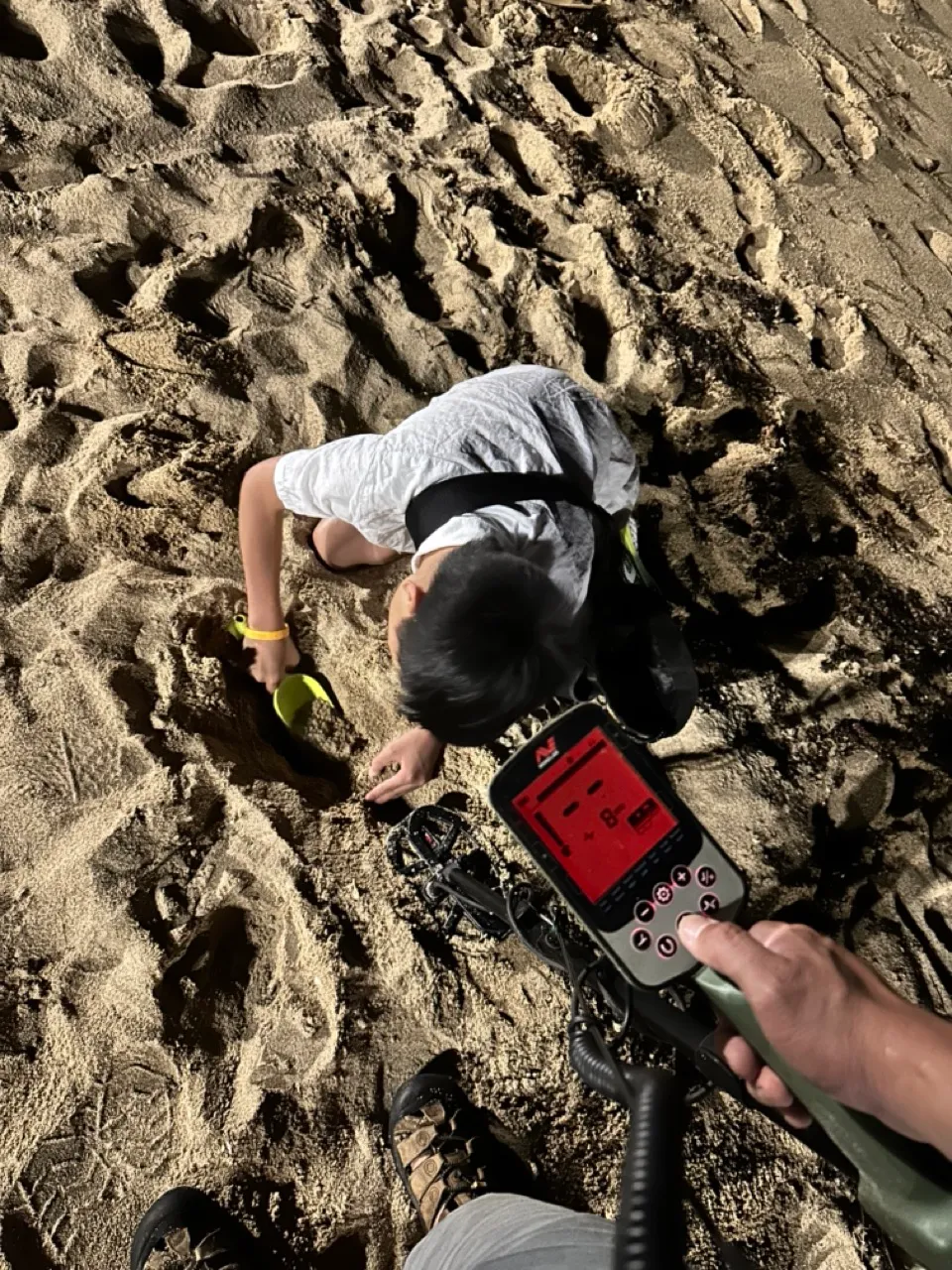 Minelab X-Terra Pro at Lemon Bay in Noumea