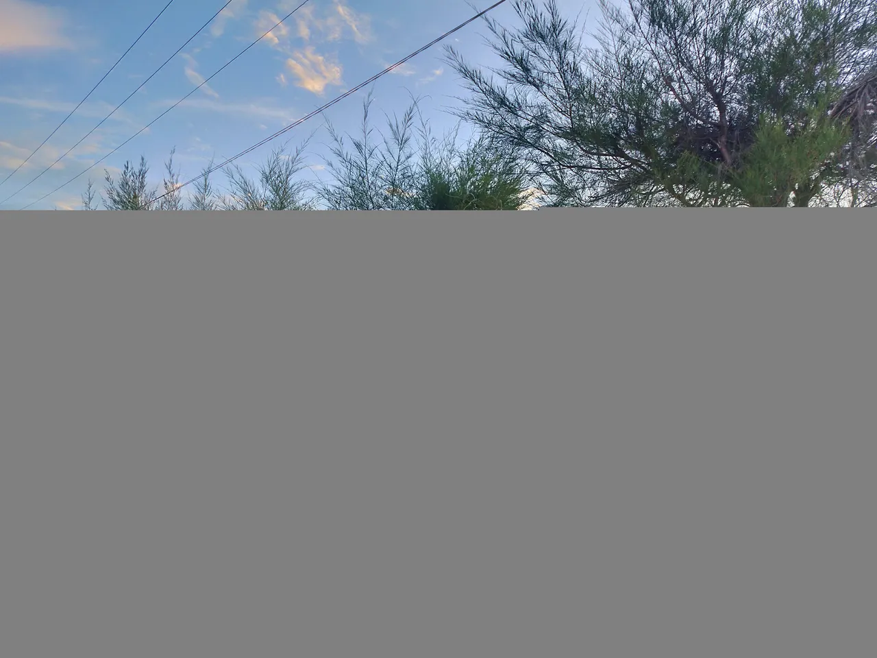IMG20220515183841.jpg