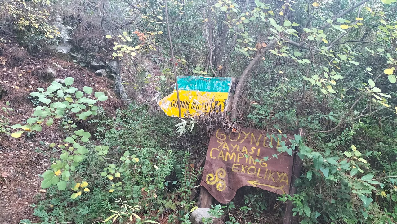 IMG20251113164922.jpg