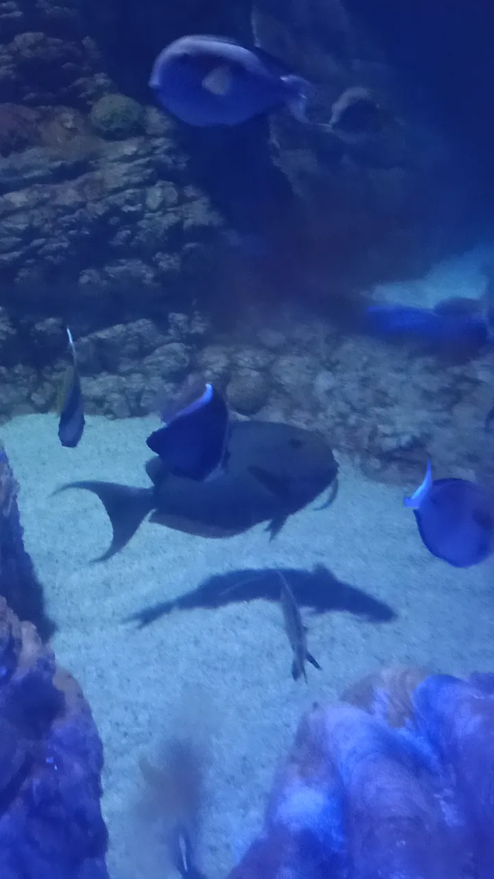 IMG20250427114947.jpg