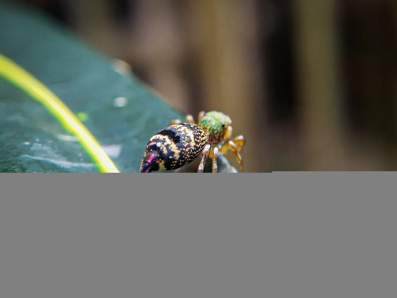 IMG20220116140628.jpg