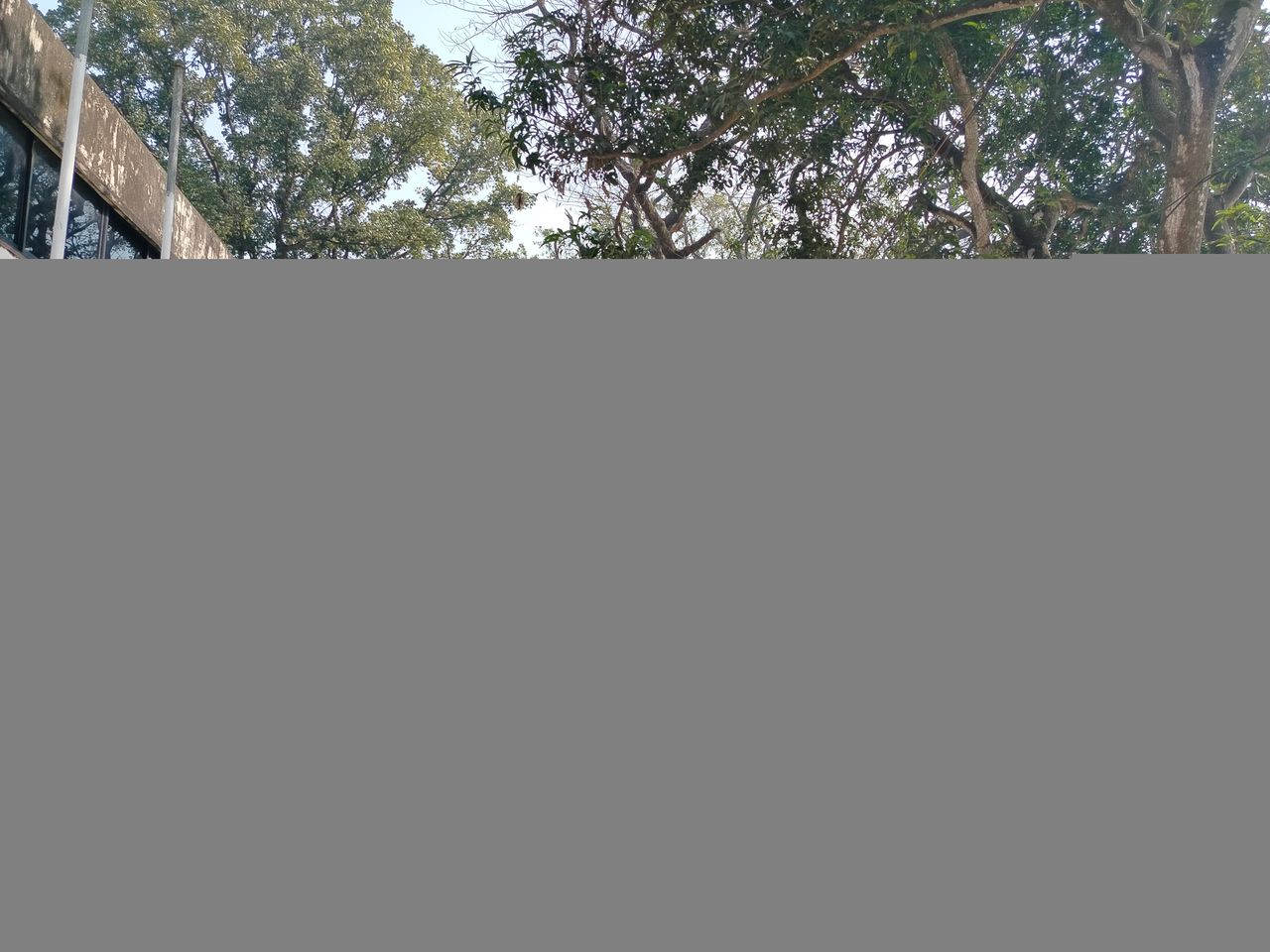 IMG20260204114220.jpg