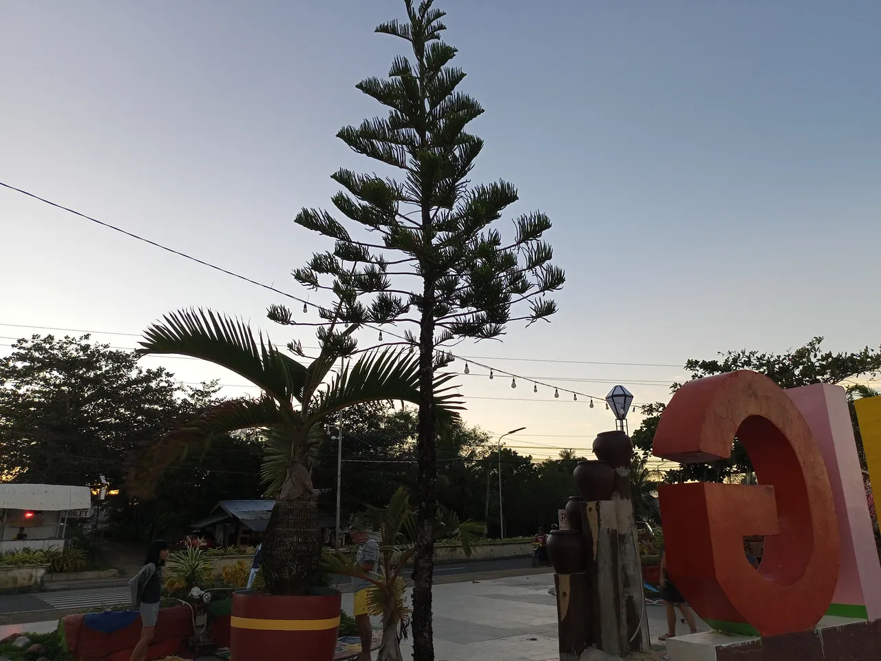 IMG20240104172601.jpg
