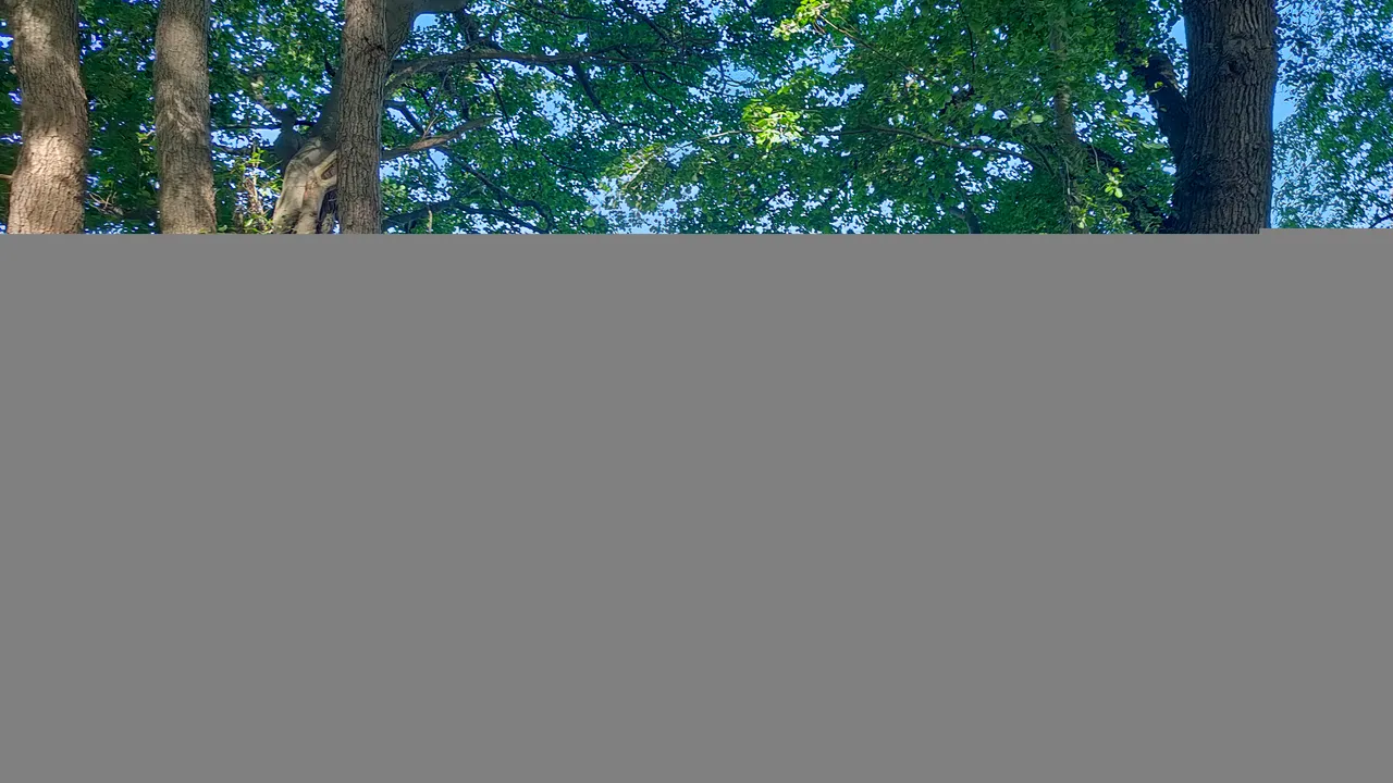 IMG20220623100951.jpg