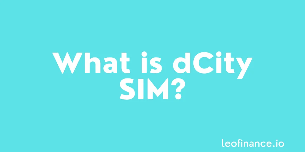 What is dCity SIM?