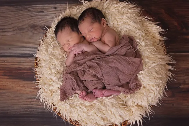 twins-1628843_640.jpg