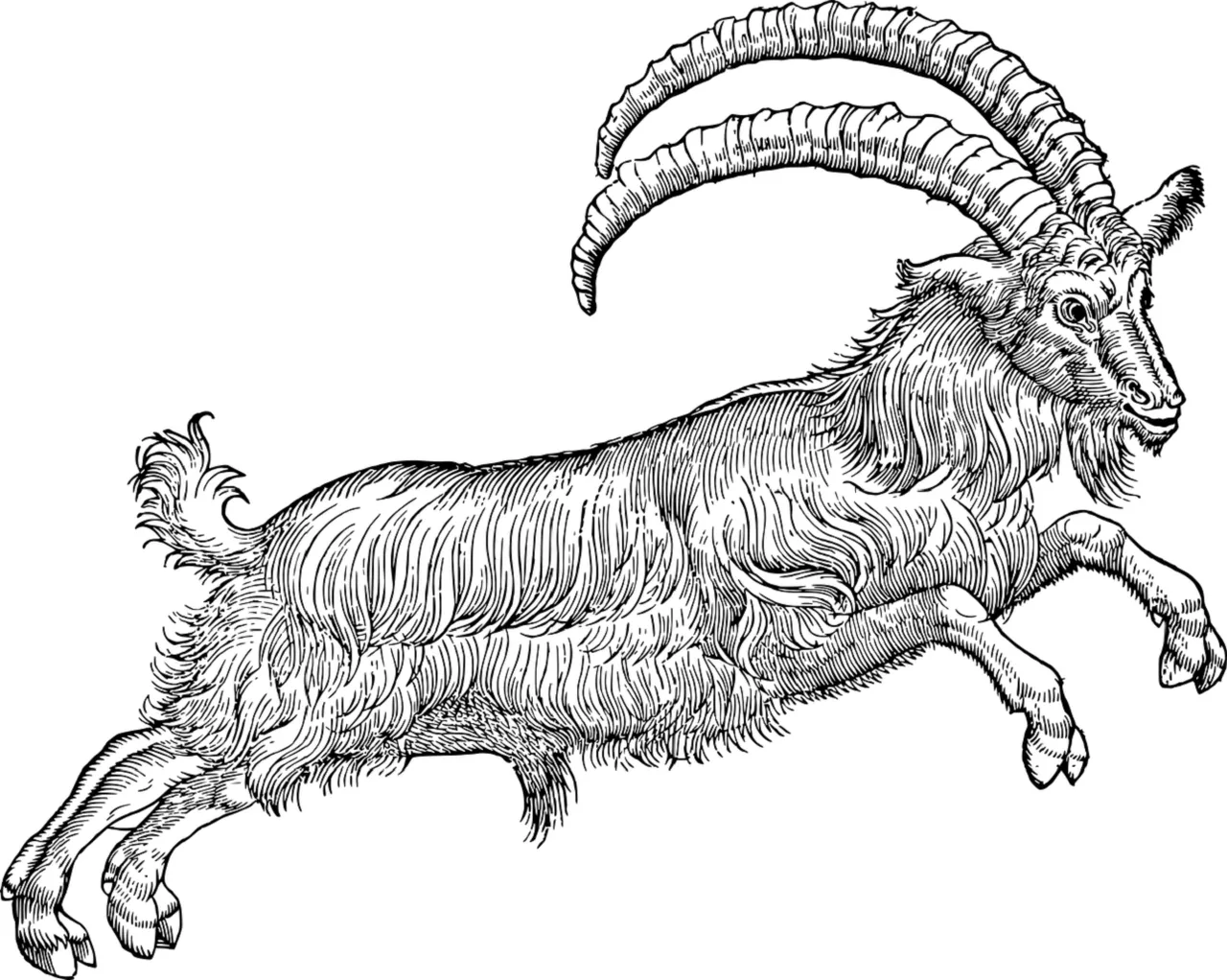 goat-5292614_1280.png