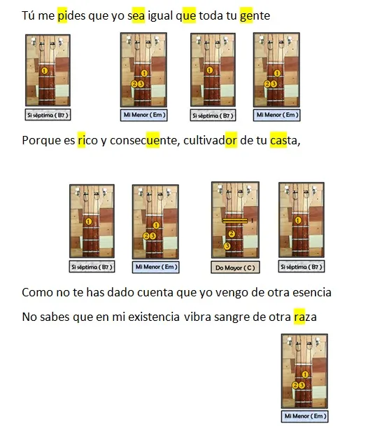 Soy veguero 1.jpg