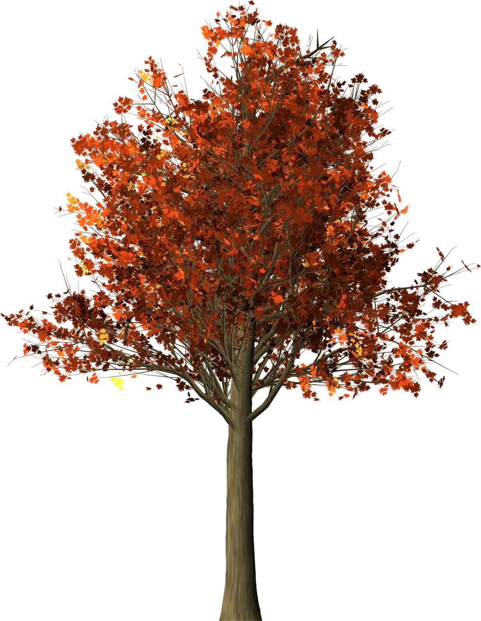 tree-1544723_1920.png