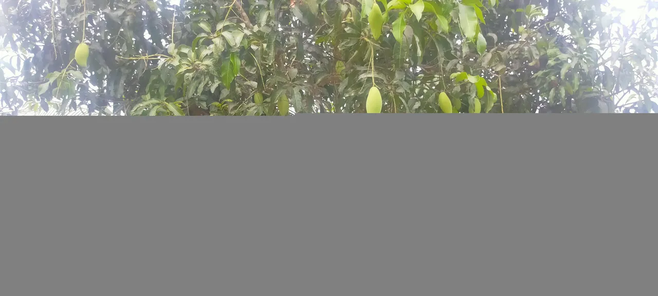 IMG20210409141136.jpg