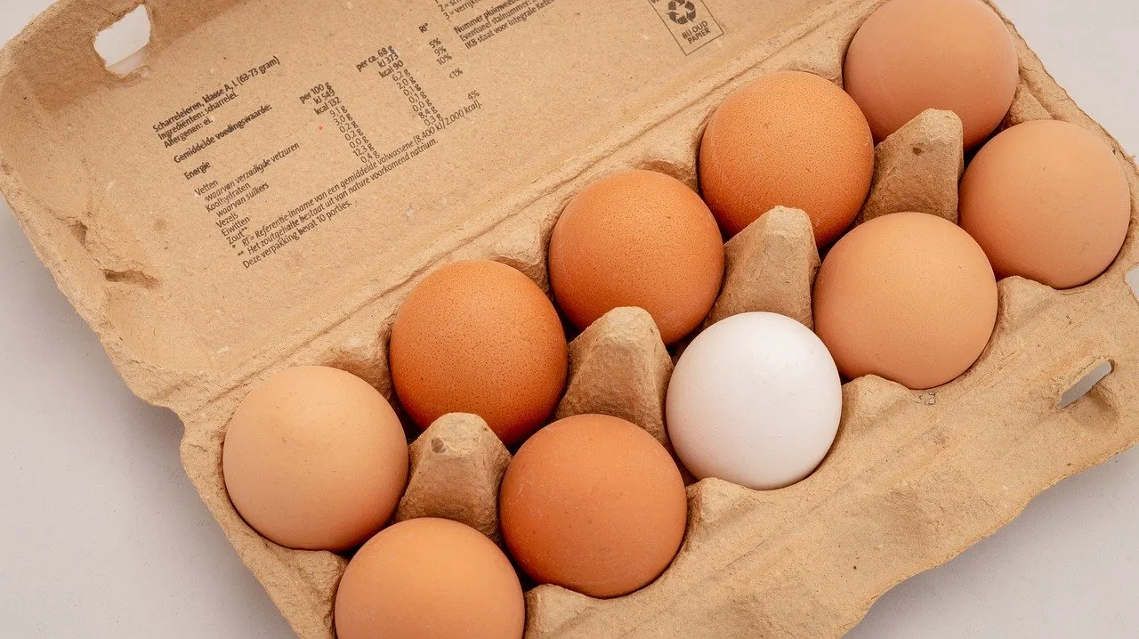 eggs-34486_1280.jpg