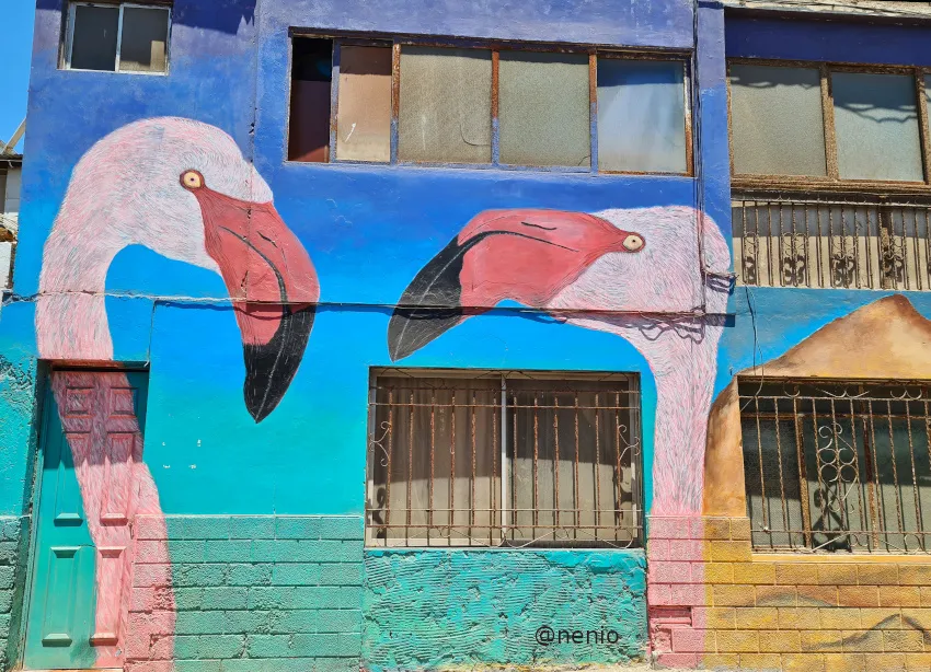 flamingos-mural-2.jpg