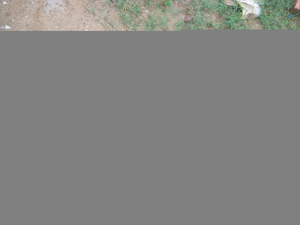 IMG20200831111211.jpg