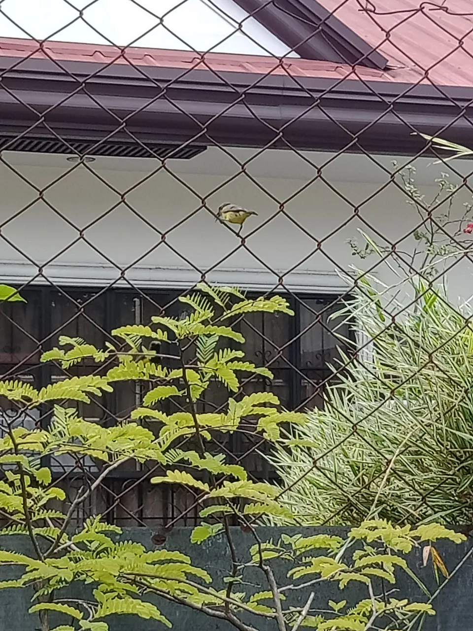 IMG20210224113911.jpg