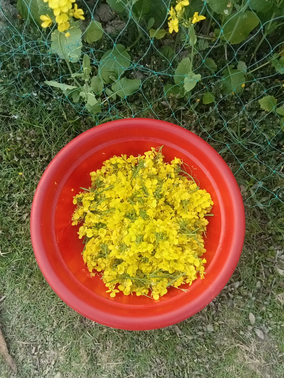 IMG20251220161826.jpg