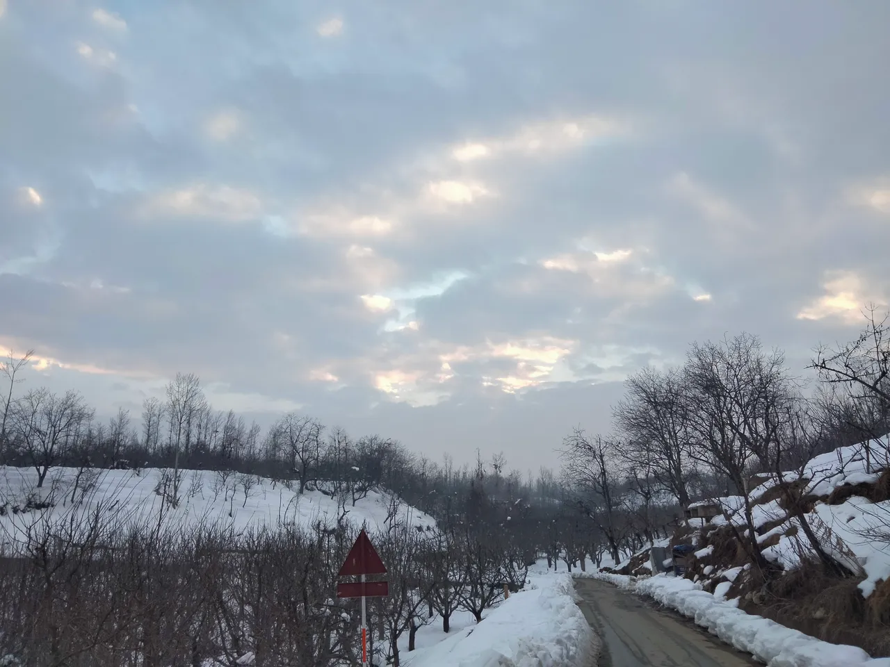 IMG20220117172946.jpg
