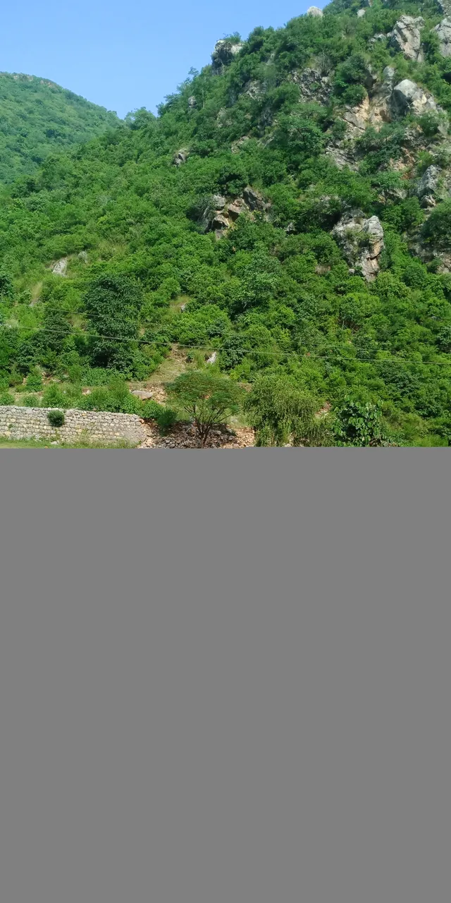 IMG20190915150554.jpg