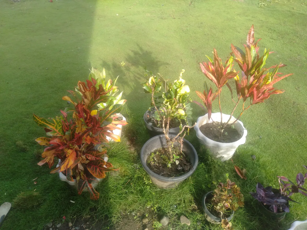 IMG20211025075104.jpg