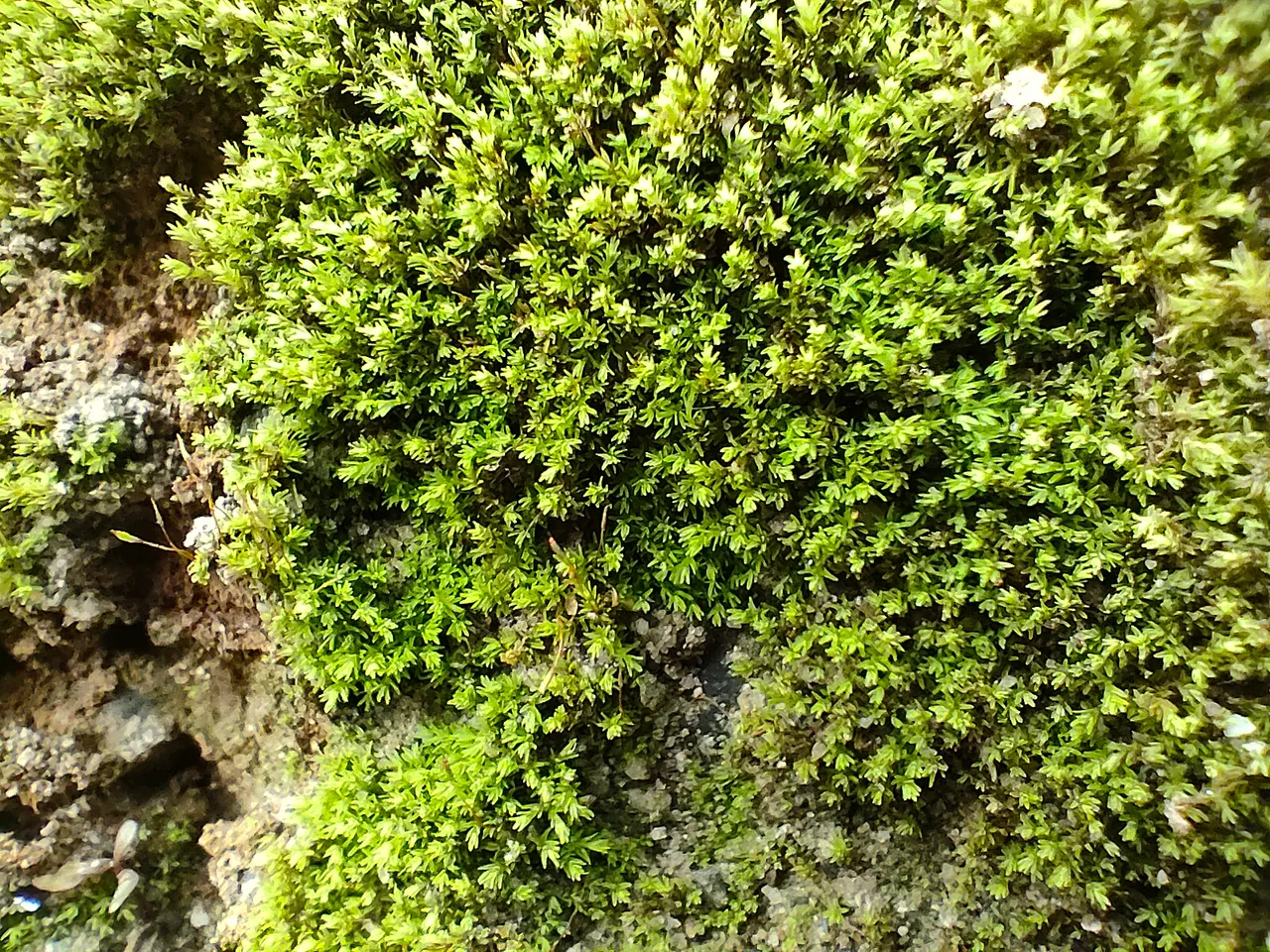 IMG20220305085104.jpg