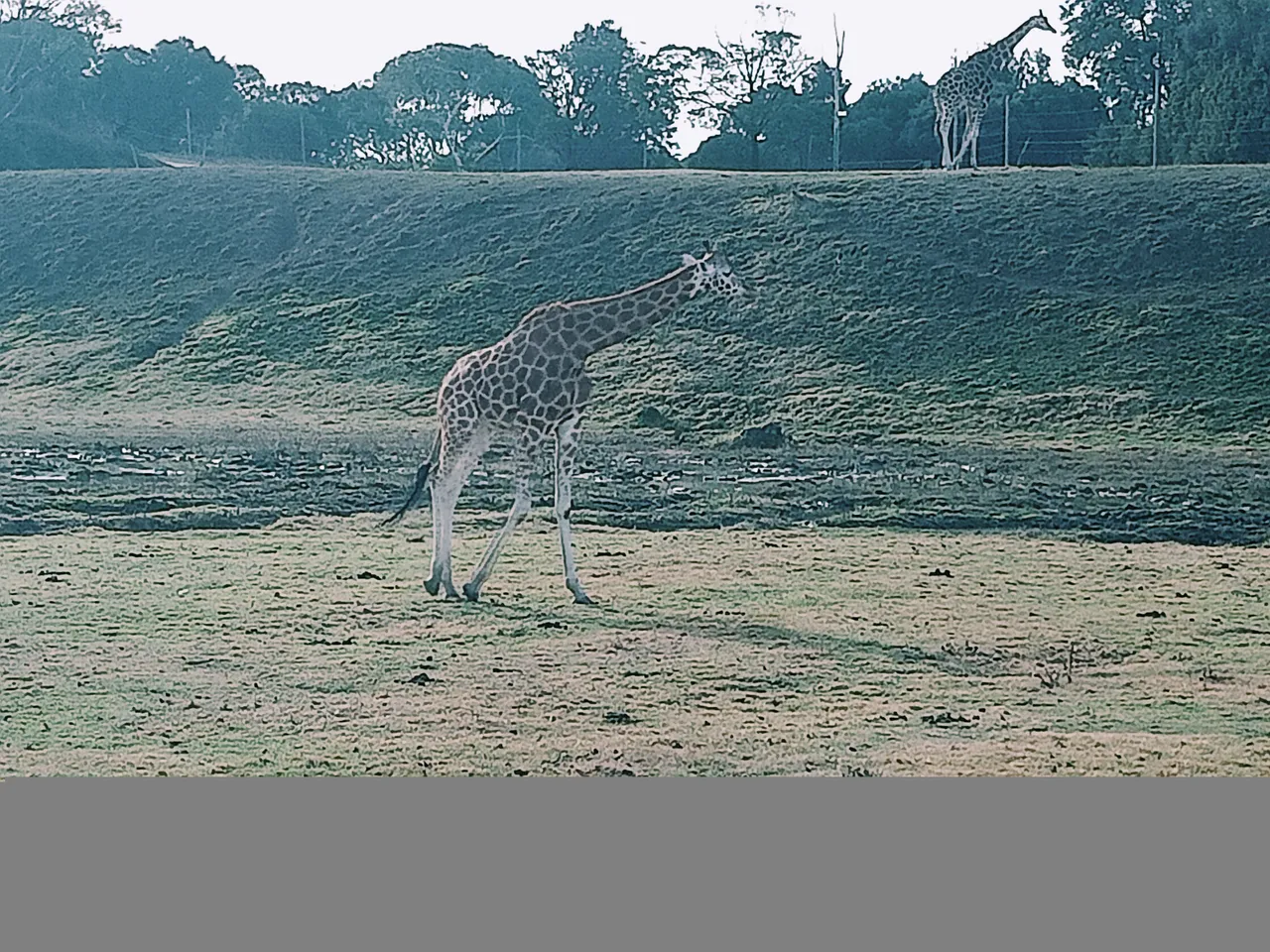 IMG20250601141716.jpg