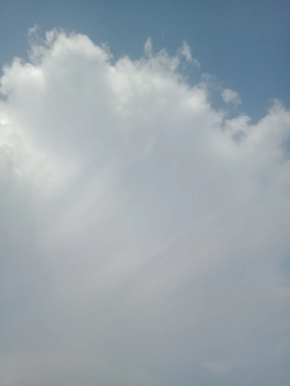 IMG20210808175859.jpg