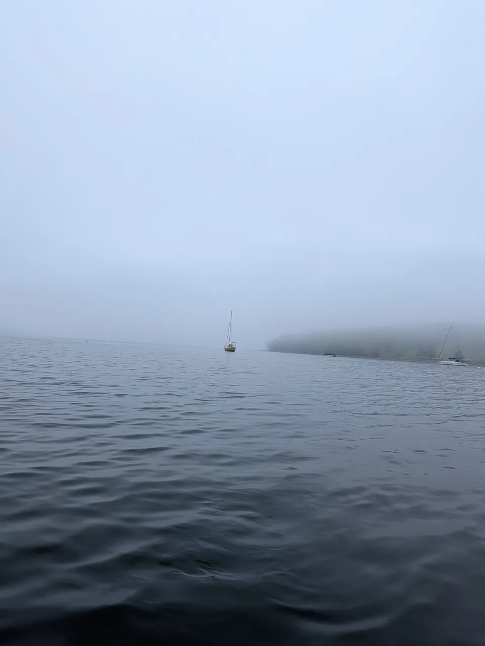 another-foggy-day.jpg