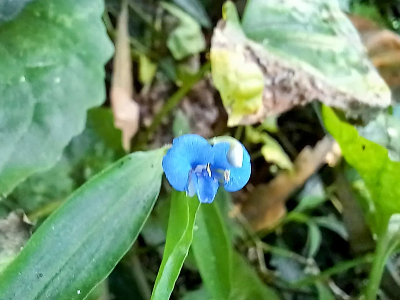 20250303_115100~2.jpg