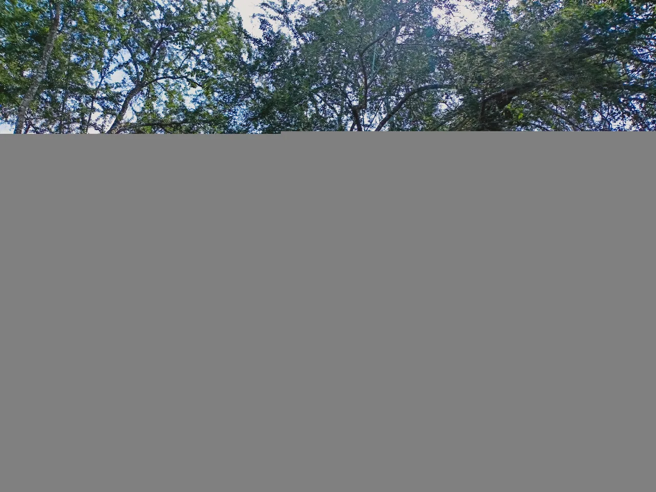 IMG20211026144349.jpg