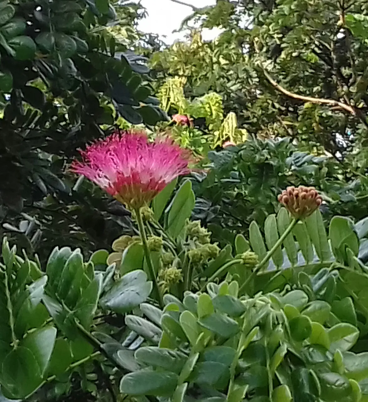 20190829_165436-1.jpg