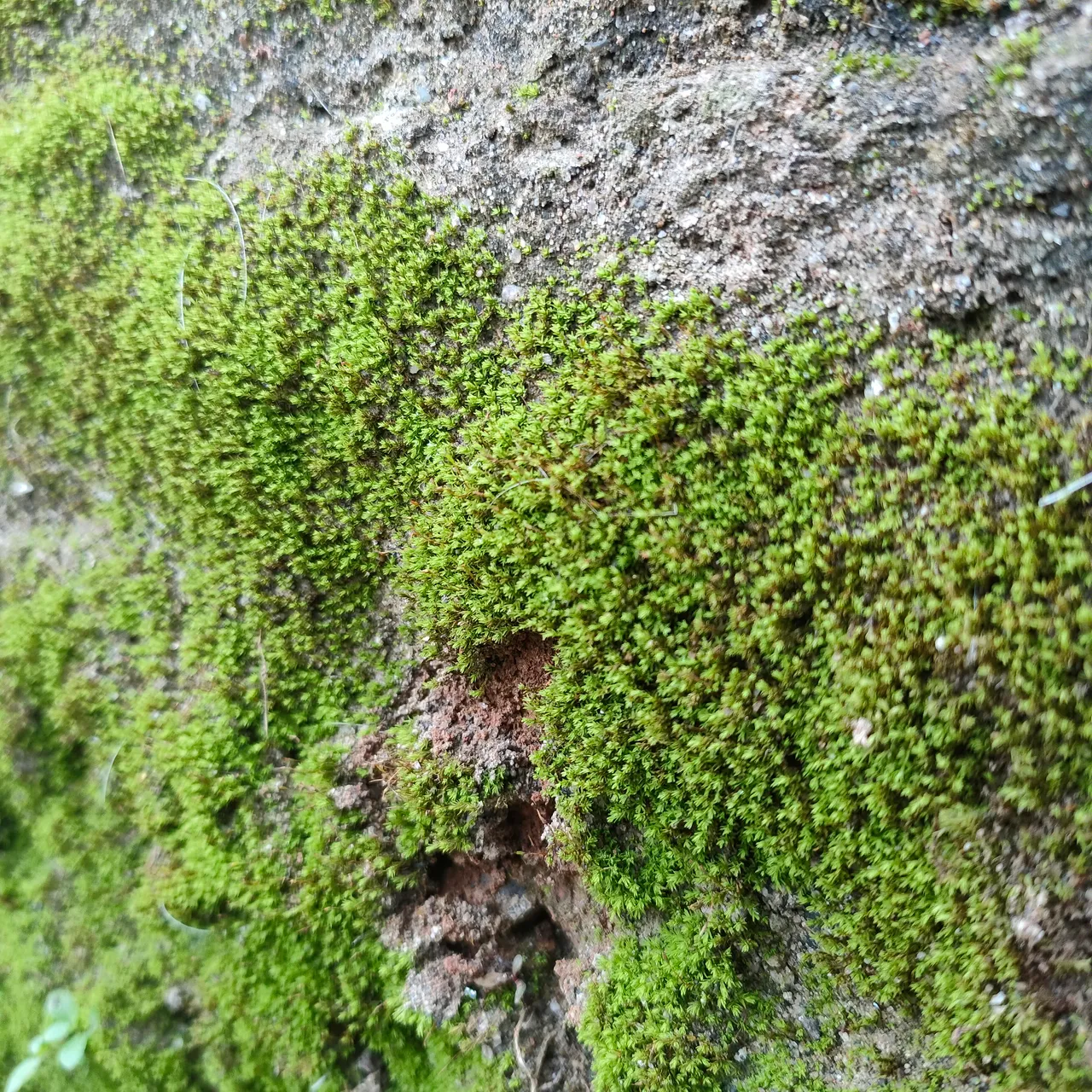 IMG20220305085020.jpg