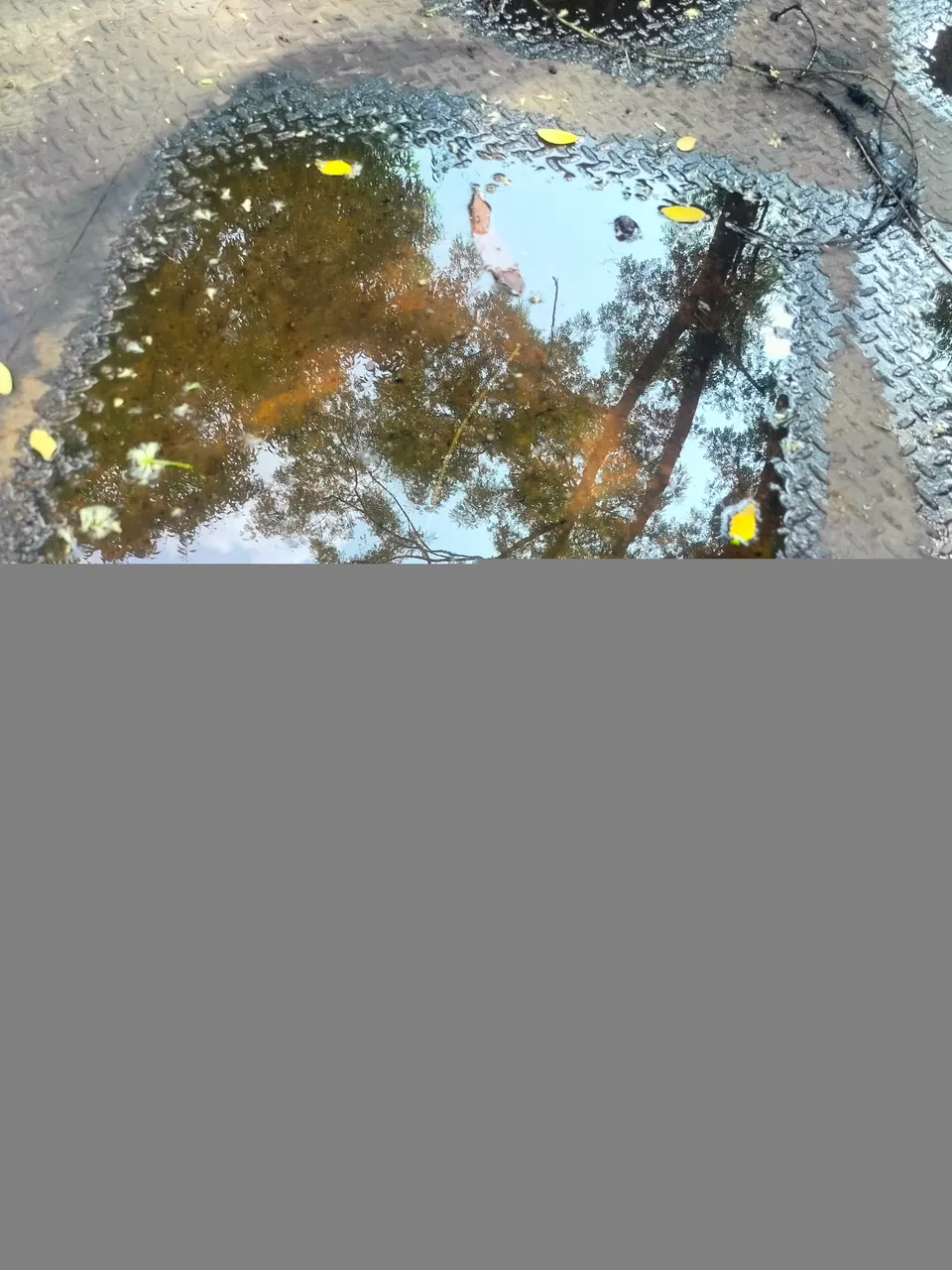 IMG20231008132245.jpg