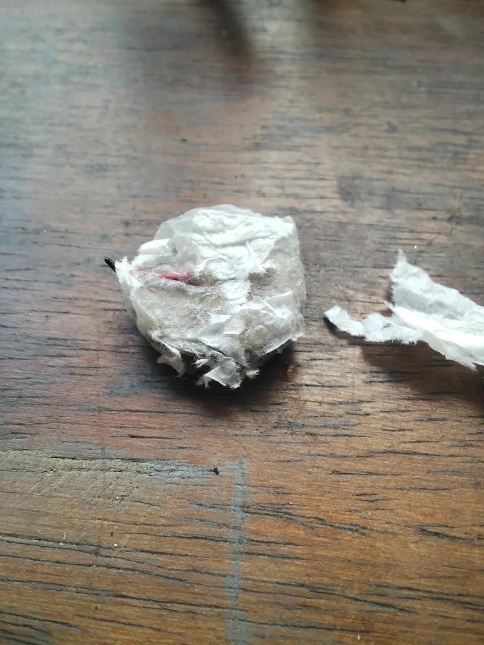 IMG20250522140823.jpg