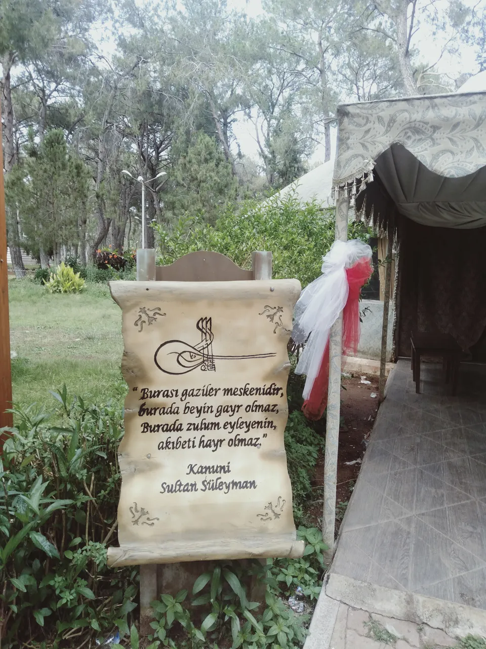 IMG20220611174111.jpg