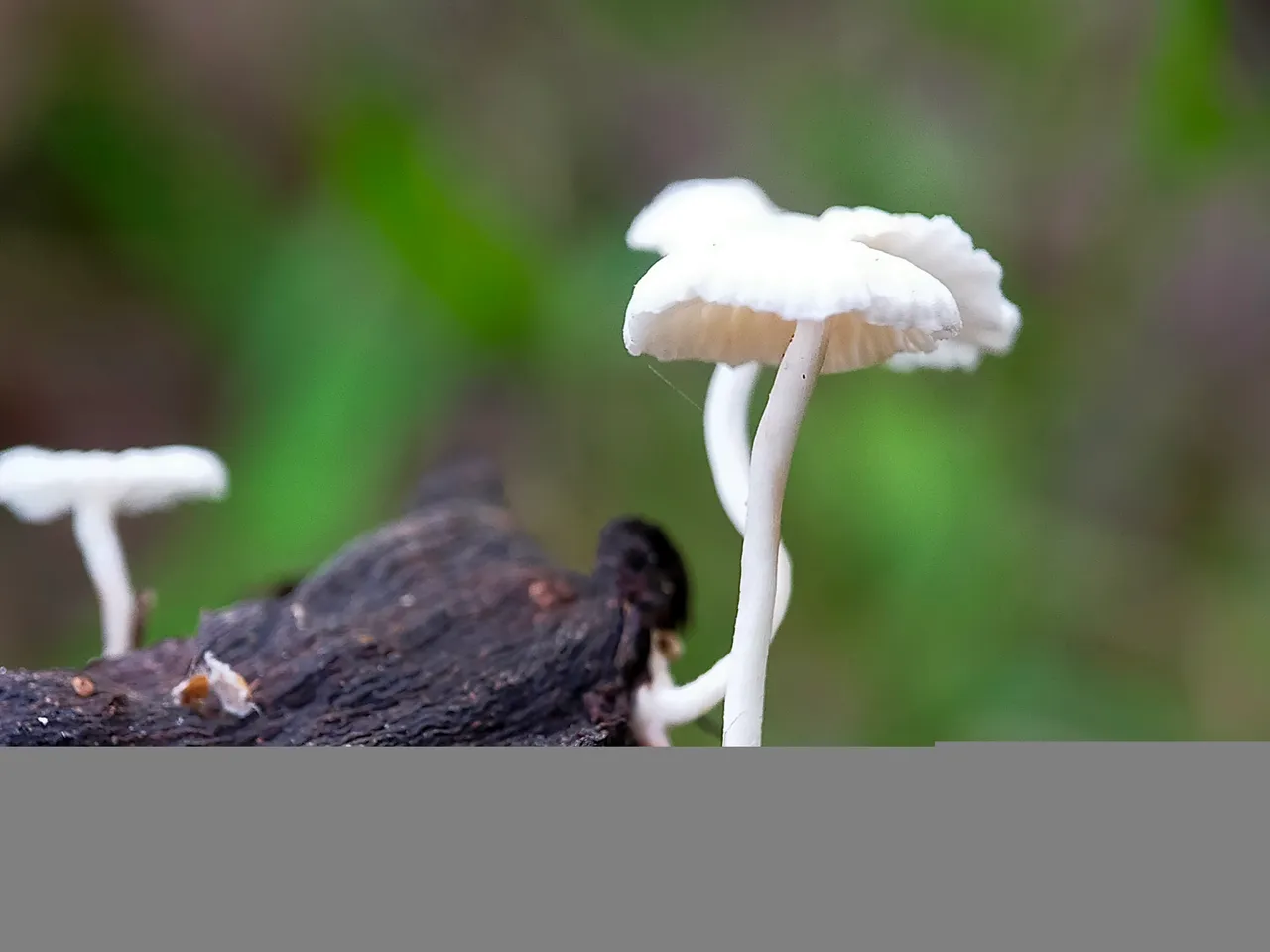 IMG20220114072821.jpg