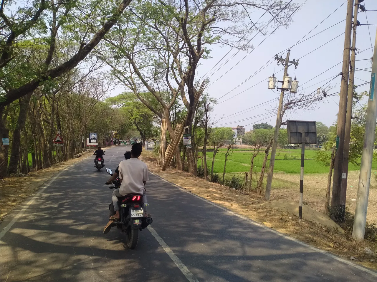 IMG20250314120618.jpg