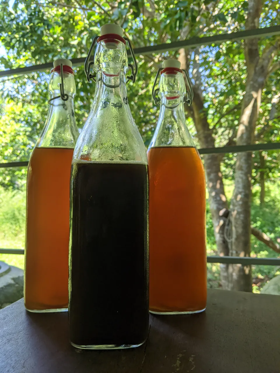 coffee-kombucha-3.jpg
