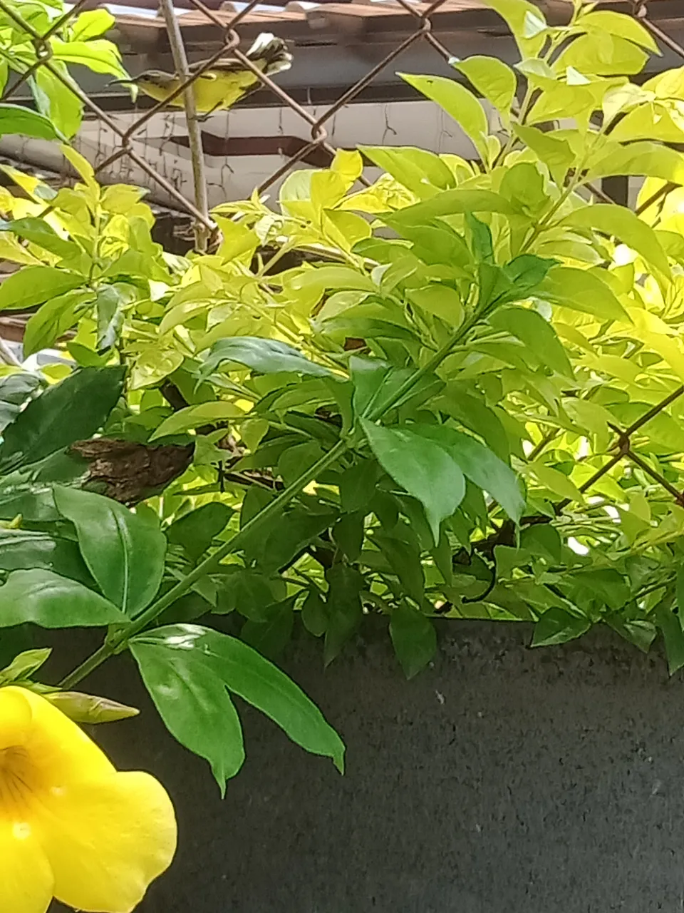 IMG20210224113939.jpg