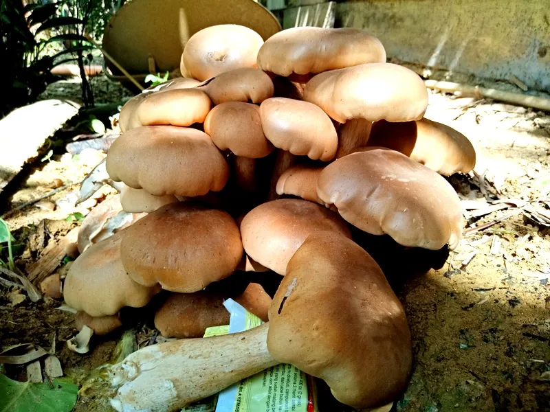 IMG20220629150330.jpg