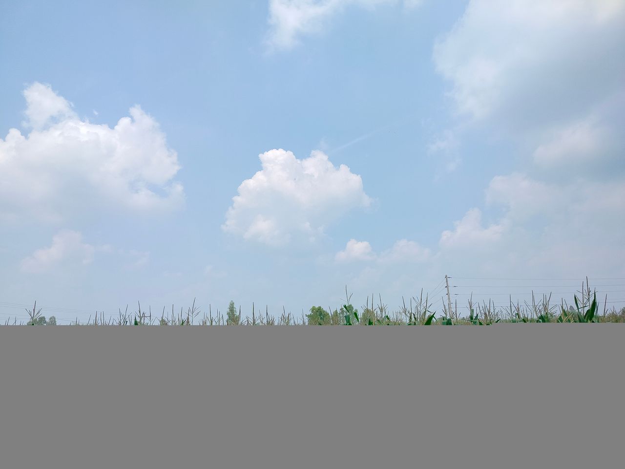 IMG20260323115101.jpg